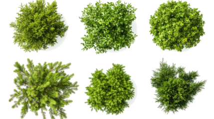 Green Trees and Shrubs Seen From Above on Clear Background Generative AI