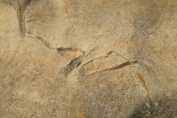 Abstract ornament on limestone surface. Limestone wall on the edge of the lake.Natural pattern and texture background. Copy space . For graphic design or banner background
