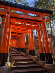 Fushimi, Japan - 2023.12.17: Rows of Torii Gates alongside a paved staircase leading up on the mountain under sunlight without tourists in the early morning