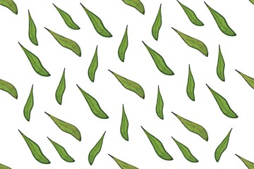 leaves seamless pattern background. Green leaf seamless pattern. leaves pattern background. seamless patterns with green leaves