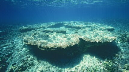 Serene Coral Atoll: Deep Sea Tranquility with Schools of Fish | Ultra-Detailed Underwater Scenery in Clear Turquoise Waters