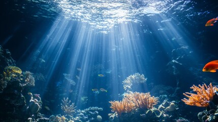 Naklejka premium Serene Sunlit Coral Garden: Vibrant Marine Life in Deep Sea Underwater Landscape