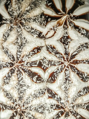Coconut and chocolate ice cream with coconut flakes closeup 
