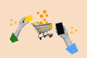 Woman hands holding a smartphone and a credit card with a shopping cart and coins on a beige...