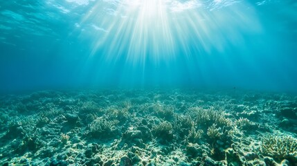 Fototapeta premium Majestic Underwater Wonderland - Vibrant Coral Reef Teeming with Life