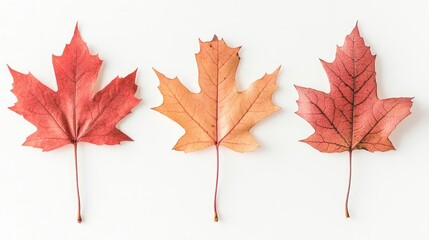 Fototapeta premium Vibrant Autumn Leaves Showcasing the Rich Colors of Fall Generative AI