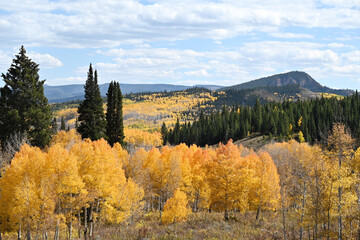 Fall Colors and Mountains