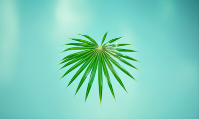 Tropical palm leaves floating on the water surface. Sun glare. Tropical background.