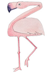 Adorable flamingo as an hand-drawn illustration for children and adults on a transparent background 
