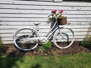 Vintage bike painted white as decor against a historic building. Flowers added for decor.