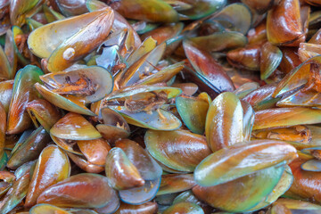 Abstract shapes, patterns and textures made from green mussels. Green mussels on the side of the road.