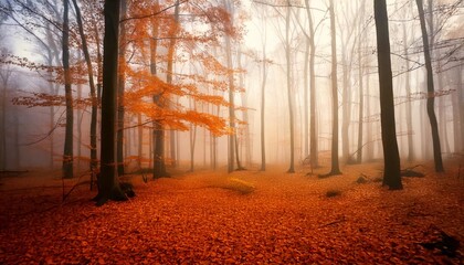 Fototapeta premium Misty Forest with Vibrant Autumn Leaves