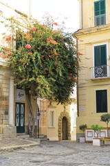 Obraz premium street of tropea, calabria, vibo valentia italy