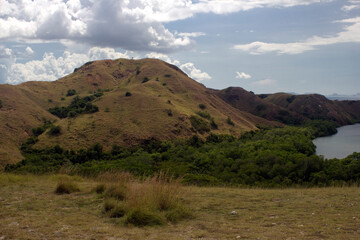 Komodo island landscape