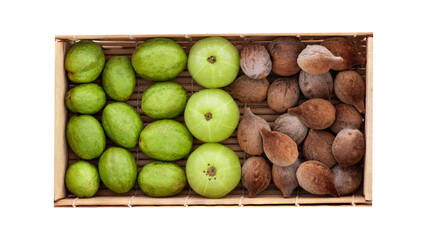 Beleric Myrobalan,Chebulic Myrobalans และ Indian Gooseberry fruits on transparent background.