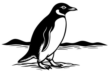 Fototapeta premium Walking Gentoo penguin guide vector art illustration