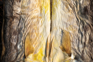 Curious textured background of a sun-dried fish on the island of Koh Chang in the Gulf of Thailand