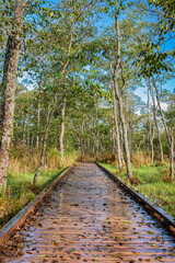 釧路湿原の秋の風景