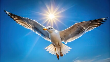 Obraz premium Seagull with outstretched wings flying in blue sky