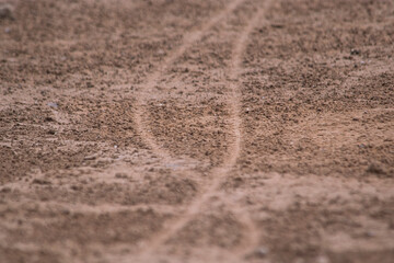 Desert  Trails in the sand