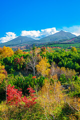 Fototapeta premium 美瑛 十勝岳望岳台の秋の風景