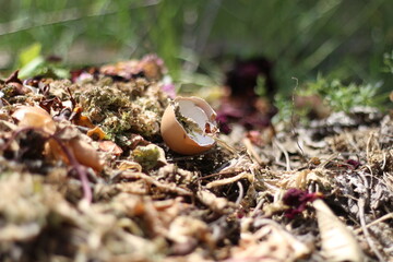 Pile of Rich Compost in Natural Garden Setting
