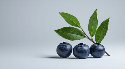 Three fresh blueberries with green leaves on white background showcasing rich color