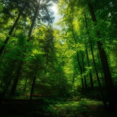 Obraz premium Lush green forest with sunlight filtering through the trees