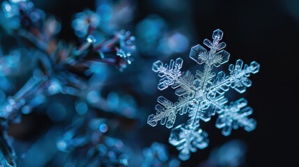 Delicate Snowflake Macro Shot in Frosty Environment