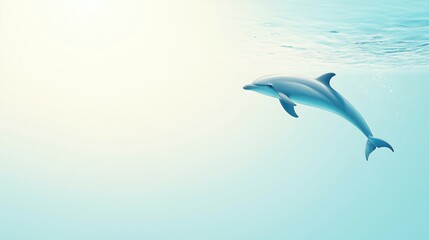 Obraz premium Dolphin swimming gracefully in clear water, peaceful aquatic scene, serene ocean atmosphere.