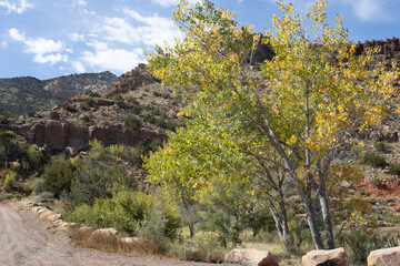 A dirt road in the scenic canyon of the Río Chama, or Chama River, below Abiquiu Dam in northern New Mexico, USA