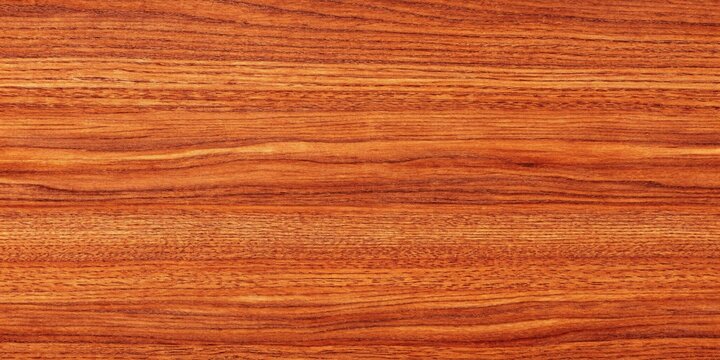 Seamless texture of African sapele tree Mahogany wood pattern