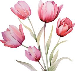 bouquet of pink tulips