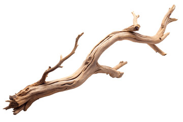 Fototapeta premium Driftwood branch, unique textures, transparent or white isolate background.