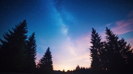 Milky Way shining over silhouettes of pine trees against a blue and pink twilight sky.