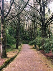 Obraz premium Processed with VSCO with c1 preset