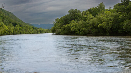  River and forest scene on a stormy day.