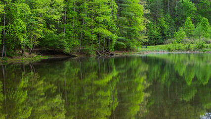 Pine tree reflections on a mountain lake.