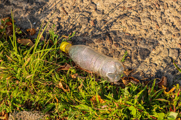 Discarded plastic bottle with yellow cap lying on green grass near a rough stone surface in sunlight, highlighting environmental pollution and littering issues in nature.

