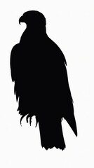 Fototapeta premium Black Silhouette of a Majestic Bird of Prey on White Background