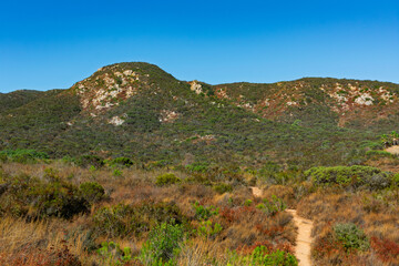 A dirt trail on Big Rock Trail leads towards Cowles Mountain, surrounded by an arid, shrub-filled landscape