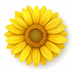 Fototapeta premium Yellow Sunflower Flower, petals, bloom, blossom, summer, nature
