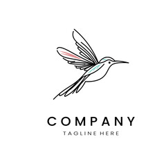 minimalistic and simple hummingbird vector line art with a bit of color, on a white background 
