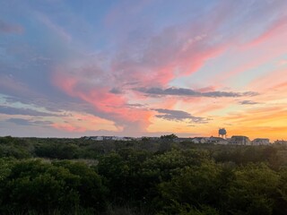 cotton candy skies over tree