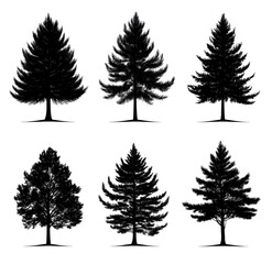 Obraz premium Set of black pine tree silhouettes on a white background, in a clip art style