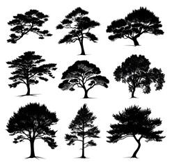 Obraz premium Set of black pine tree silhouettes on a white background, in a clip art style