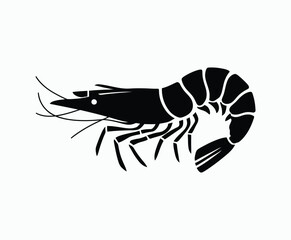 Obraz premium Clean Shrimp Silhouette Silhouette Vector Template
