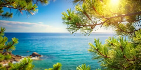 Sunlit Pine Branch Framing a Distant Ocean View