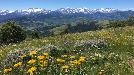 Fototapeta premium Vibrant Mountain Meadow with Wildflowers and Snowy Peaks