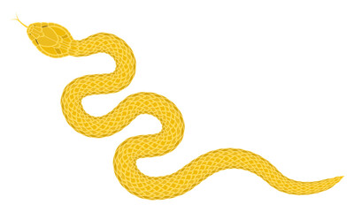 Fototapeta premium abstract golden cartoon snake pattern